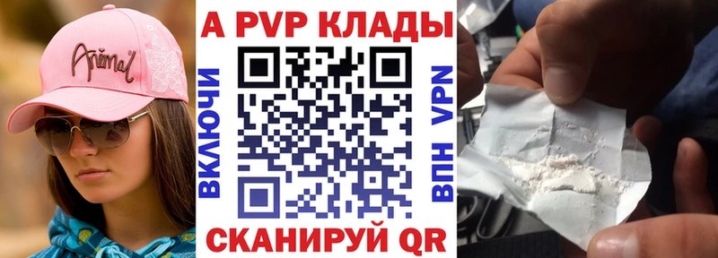 A PVP СК  где продают наркотики  Кириши 